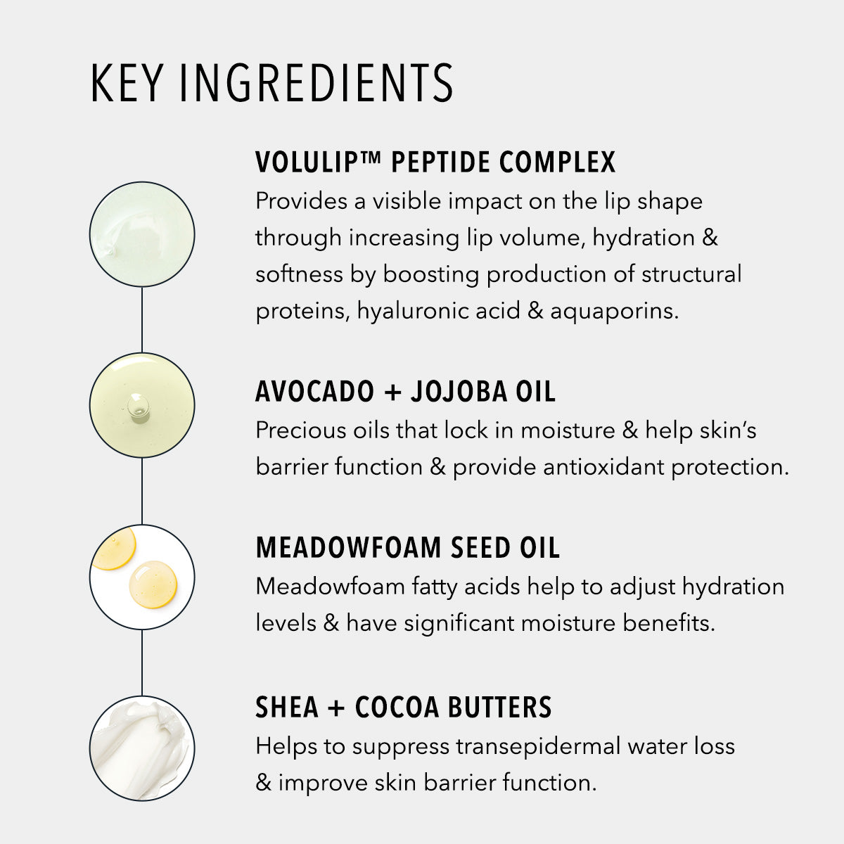 HydroPeptide LipLock Hydrator Lip Mask key ingredients